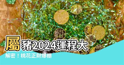 屬豬財位|【豬五行】屬豬五行解密：看懂生肖豬的五行屬性，助你趨吉避兇。